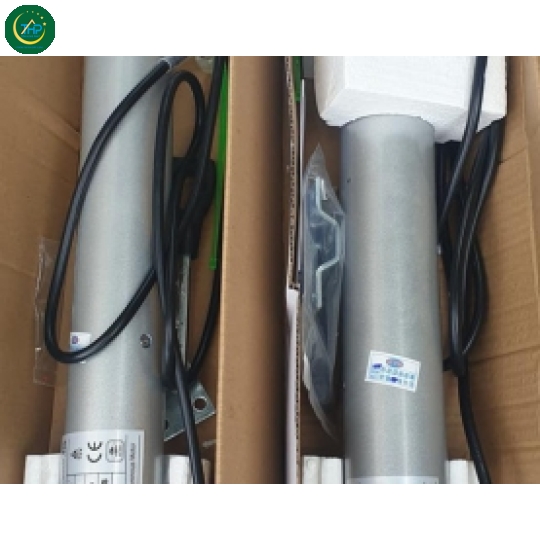 Motor ống